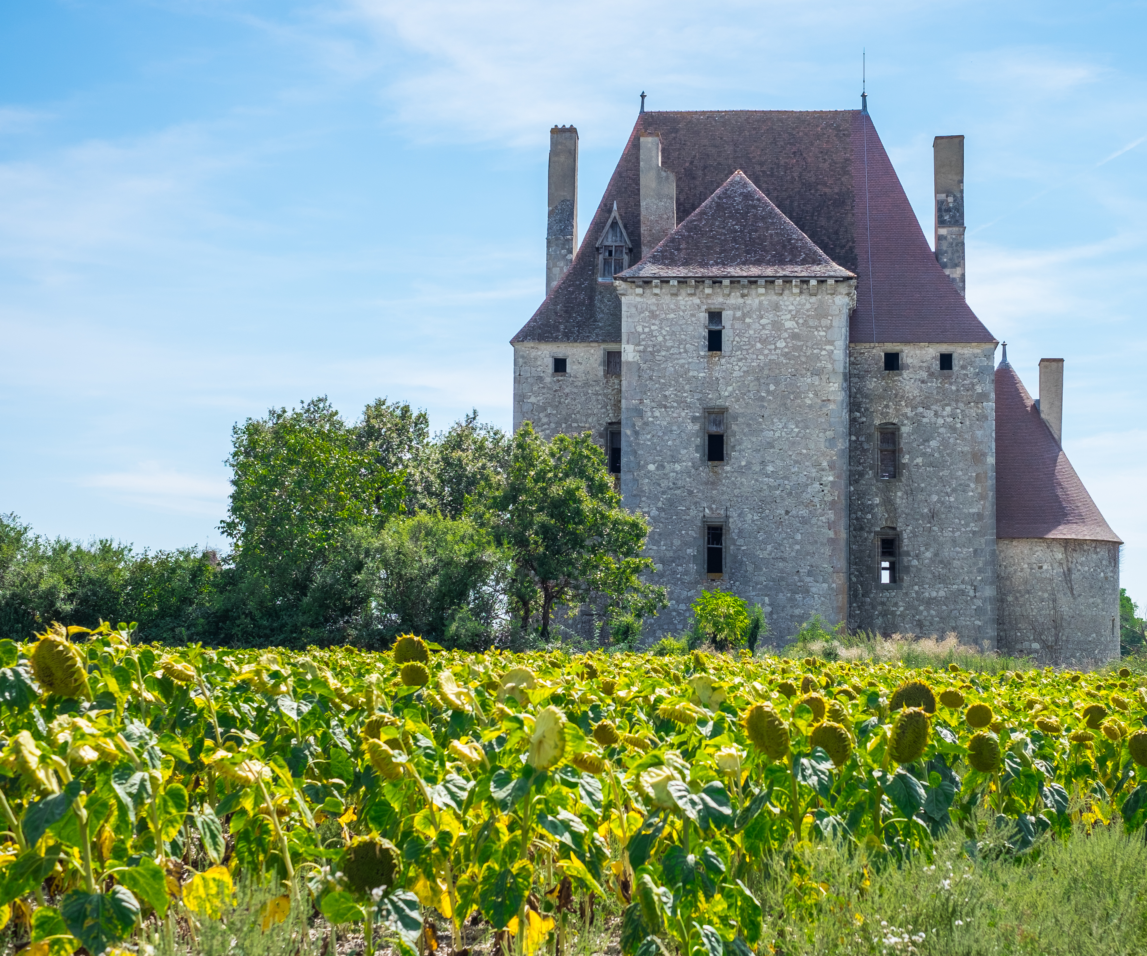 Castles - Central France