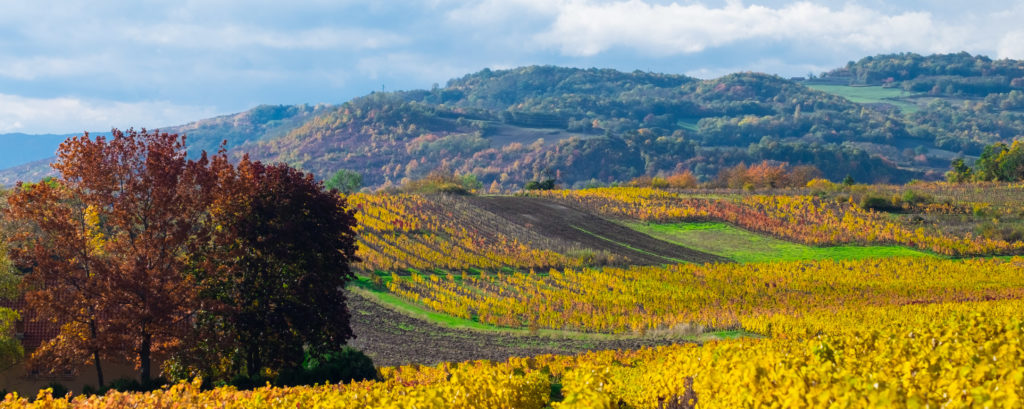Autumn Auvergne France
