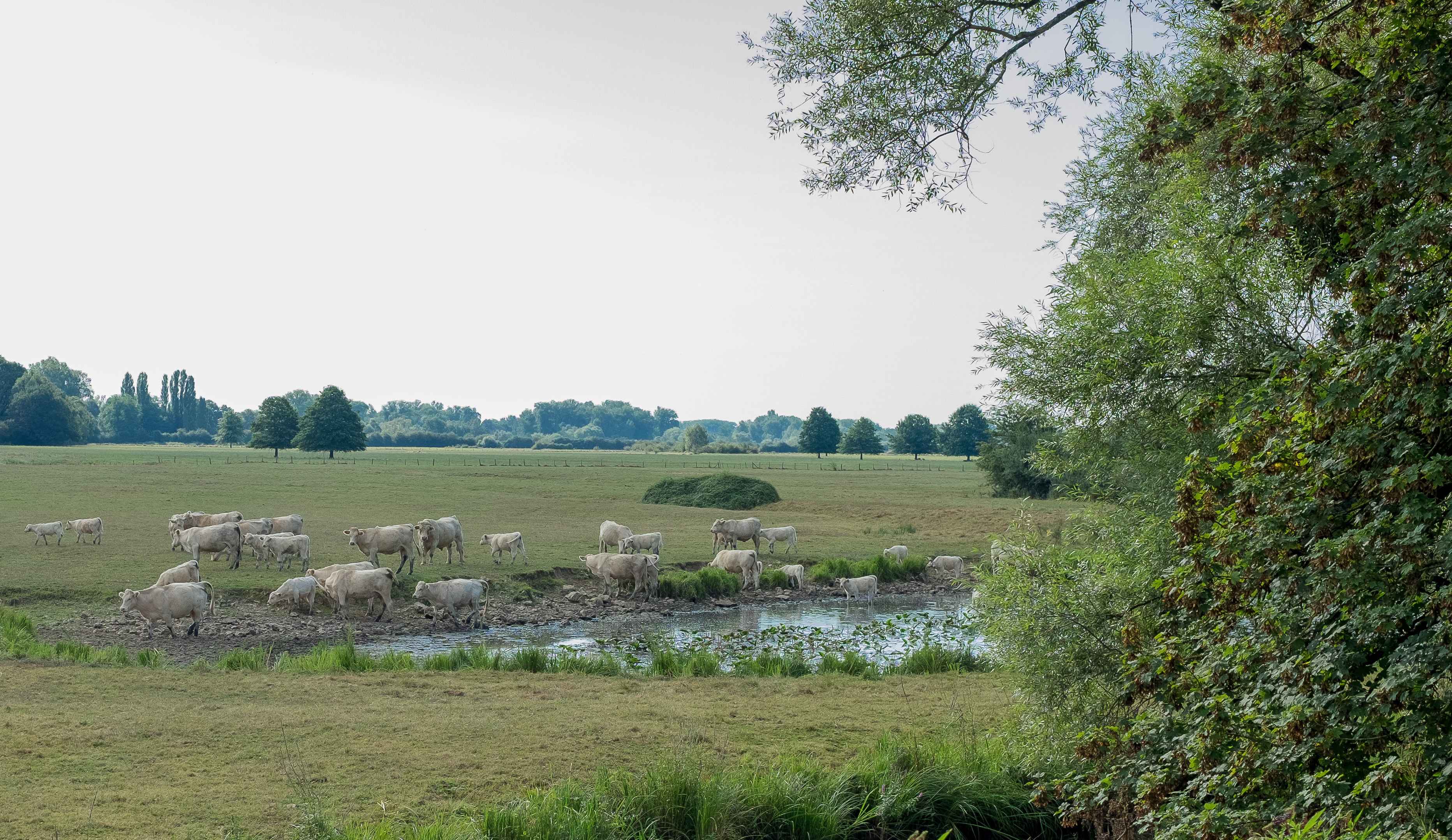 apremont-014