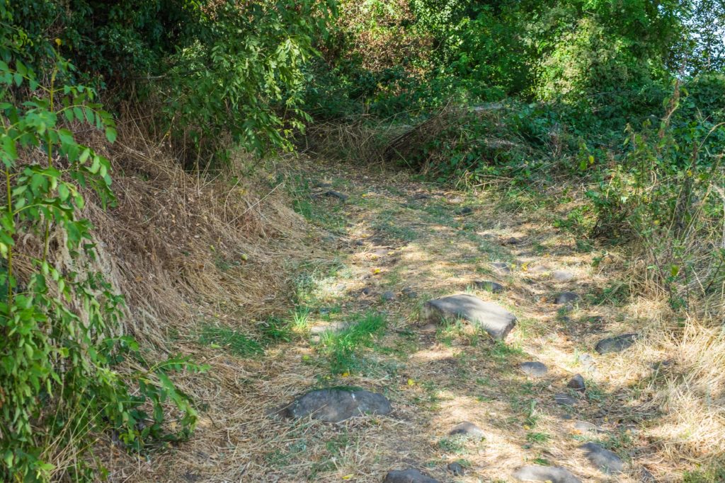 Corent Archeology Auvergne
