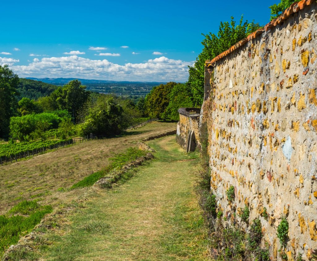 Semur Brionnais Burgundy