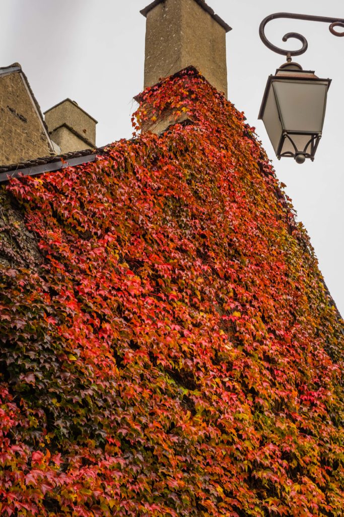 Autumn Auvergne France