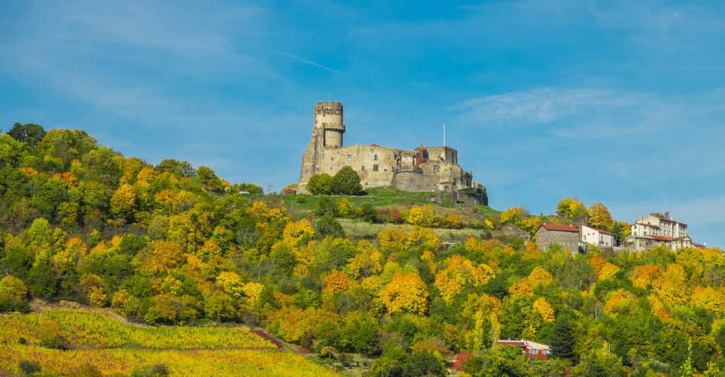 Auvergne Clermont-Ferrand Postcards