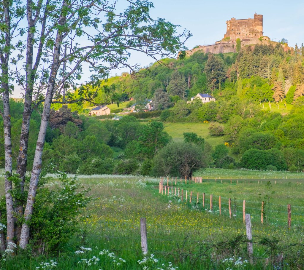 Auvergne Clermont-Ferrand Postcards