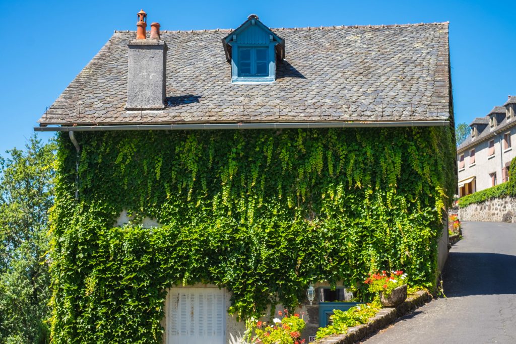 Tournemire Anjony Chateau Castle Auvergne Cantal