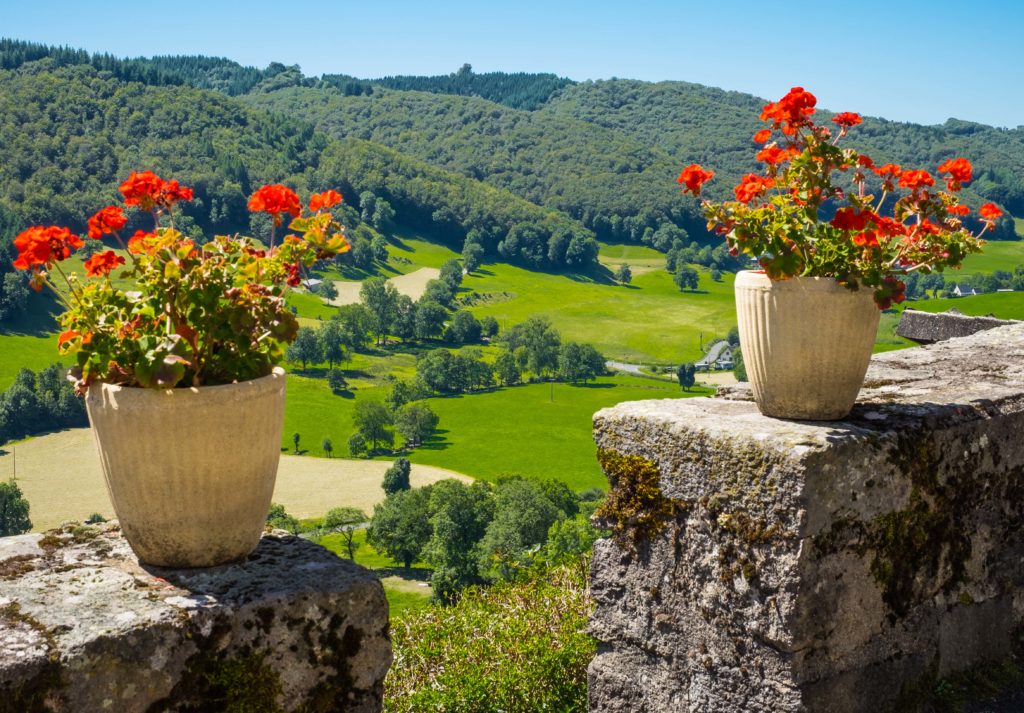 Tournemire Anjony Chateau Castle Auvergne Cantal