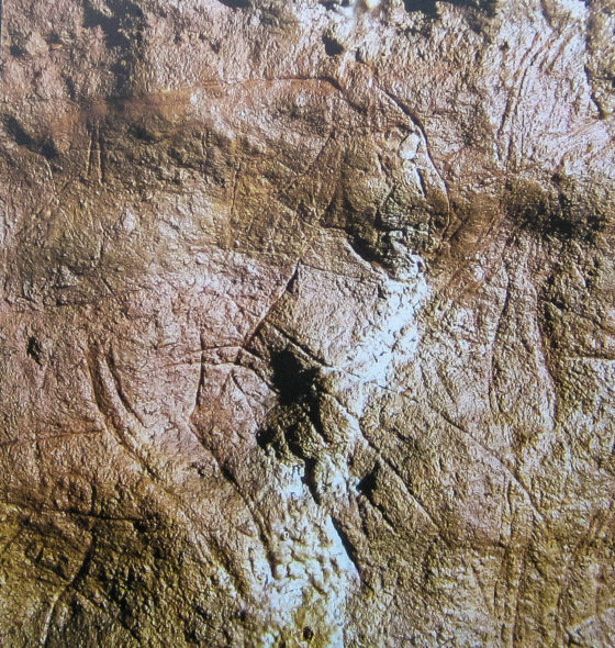 Eyzies Dordogne Perigord France Cro-Magnon Prehistoric cave Font de Gaume Combarelles