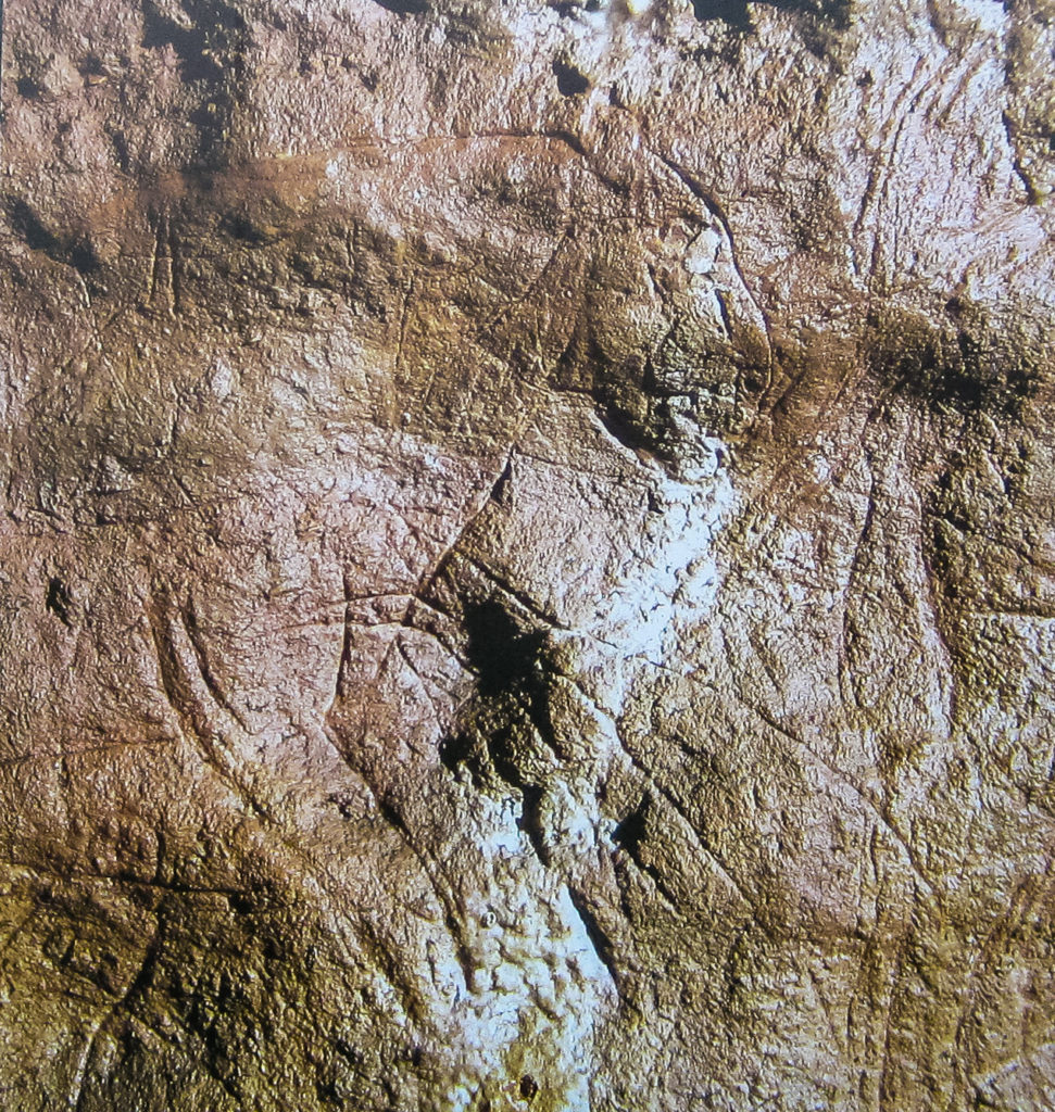 Eyzies Dordogne Perigord France Cro-Magnon Prehistoric cave Font de Gaume Combarelles