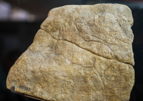 Eyzies Dordogne Perigord France Cro-Magnon Prehistoric cave Font de Gaume Combarelles