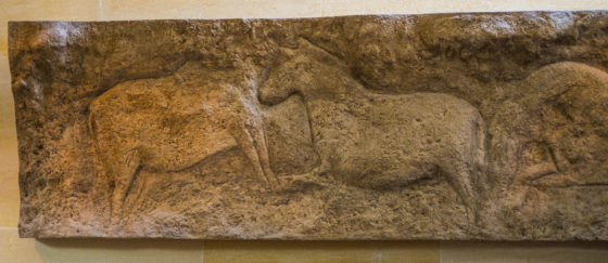 Eyzies Dordogne Perigord France Cro-Magnon Prehistoric cave Font de Gaume Combarelles