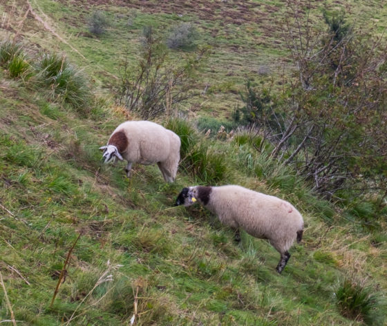 Chaine des Puys Auvergne Volcano UNESCO
