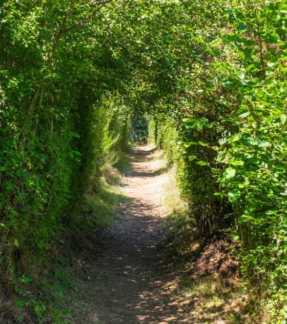 St-Julien-Aux-Bois Xaintrie Medieval Farm Correze France