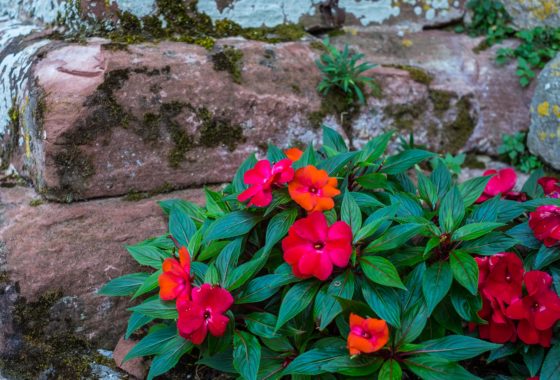 Turenne Corrèze France Auvergne Dordogne Chateau Castle