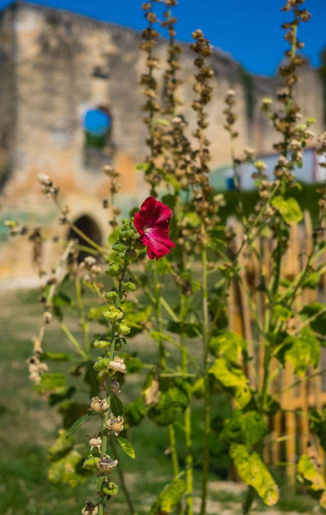 Saint-Amand-de-Coly France Limousin Dordgone Abbey Medieval Travel Europe History