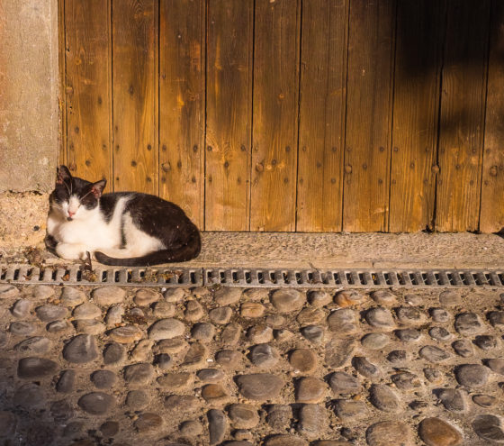 Beaulieu-sur-Dordogne Beaulieu Dordogne France Travel Medieval History Corrèze