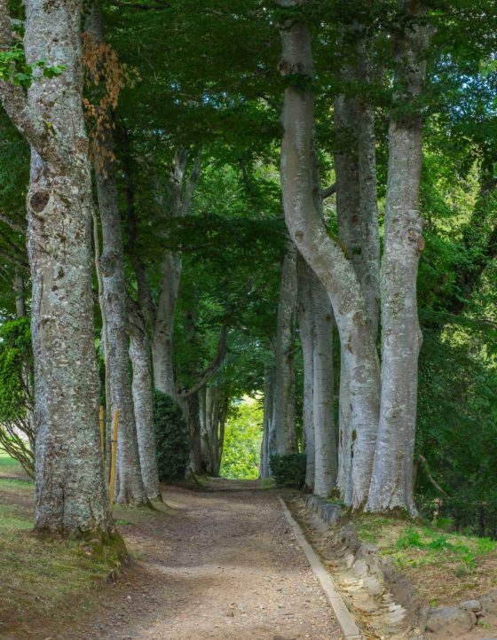 Chateau de Cordès Castle Auvergne Medieval Gardens France Europe