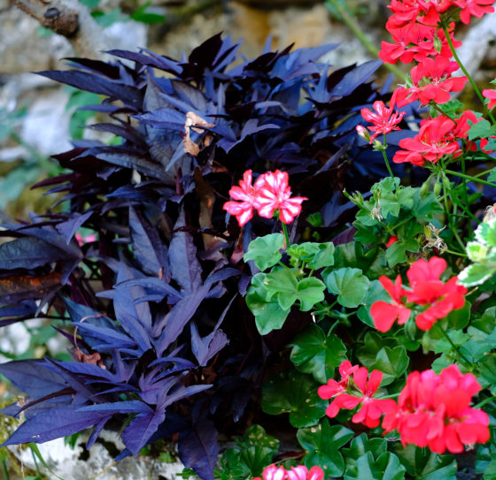 Carennac France Village Dordogne Enlightenment