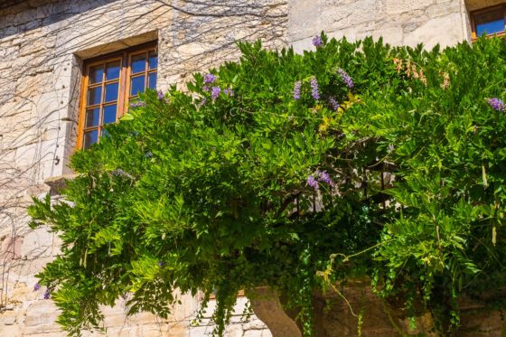 Saint-Robert France Correze